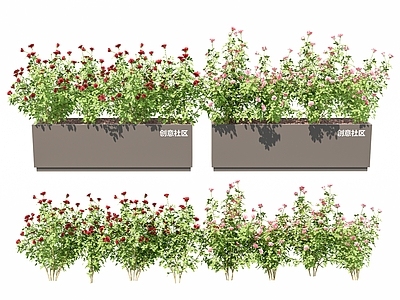 现代花池 玫瑰 商业外摆 月季 移动花箱 花池