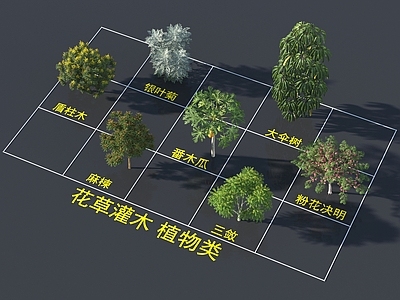 其他树木 花草灌木 植物类