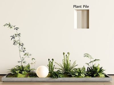 植物组合 现代植物堆