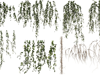 藤蔓 现代 吊篮 緑植 墻饰緑植 緑植墻