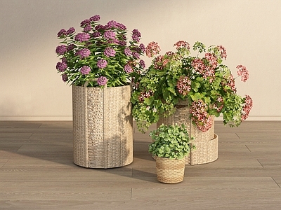 花草组合 花卉 花篮 藤编蓝 篮子 花艺