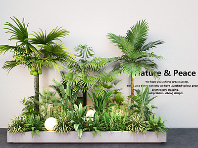 植物组合 植物组合 绿植花箱盆景 室内植物造景 植物堆 花池花坛