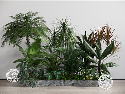 植物组合 热带组合 树池