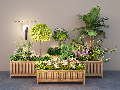 植物组合 现代植物绿植花箱 花箱花坛盆栽组合 盆景植物 植物堆