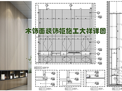 现代家具节点详图 木饰面装饰柜 木饰面 木饰面储物柜 木饰面柜 黑钢展示架 施工图