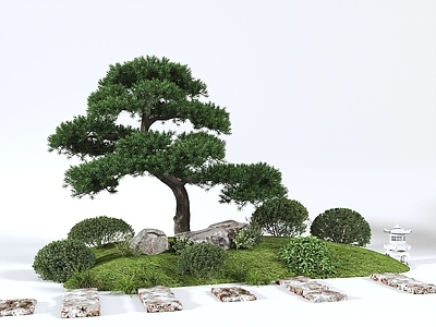 植物组合 组合
