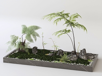 植物组合 植物组合