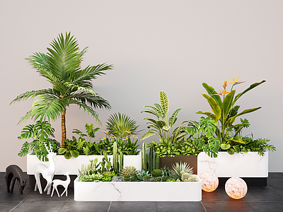 植物组合 花箱 外摆花箱 热带植物盆栽 花坛花箱 户外植物组合