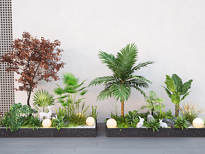 植物组合 现代庭院小品 植物造景植物组合 植物堆 景观树