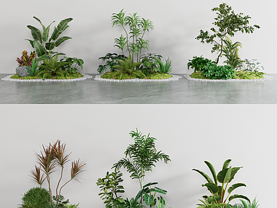 植物组合 组合 树池 堆 团