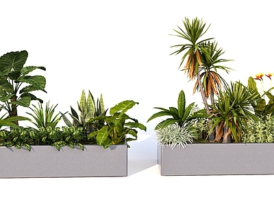 植物组合 花池花箱绿值组合