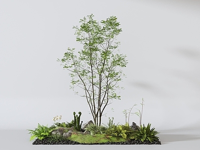 植物组合 组合 堆
