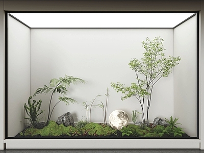 植物组合 组合 造景