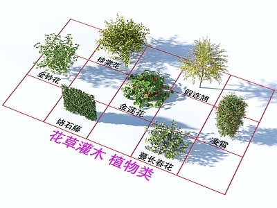 花草组合 花草灌木 植物类
