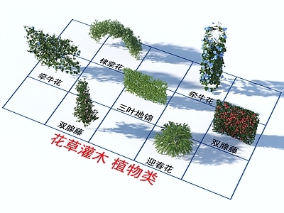 花草组合 花草灌木 植物类