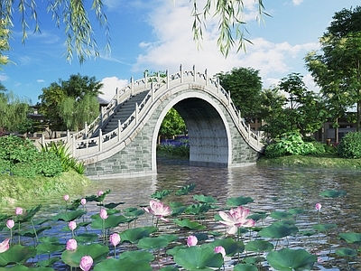 新中式滨水景观 池塘 荷花荷叶 景观桥 公园景观 户外景观