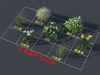 花草组合 花草灌木 植物类