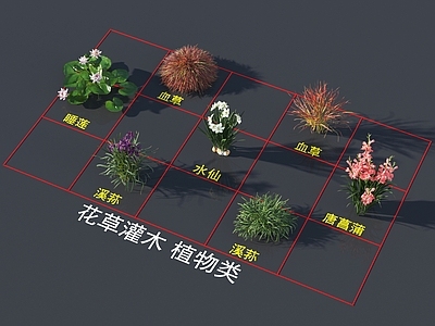 花草组合 花草灌木 植物类