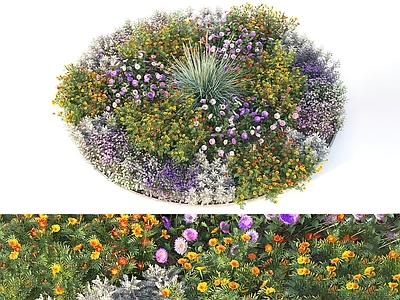 花坛 现代花坛 花圃 花草 景观小品