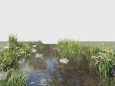 现代简约滨水景观 现代河道景观 溪石滩 滨水河道 小河流 小溪滩 河道水景水生植物 野草 小草 芦苇