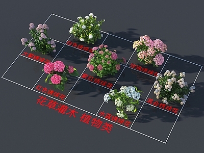 花草组合 花草灌木 植物类