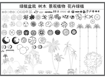 现代综合植物图库 绿植盆栽 木 景观植物 卉绿植 园林绿化 施工图