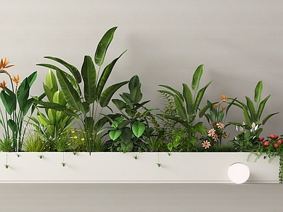 植物组合 外摆绿植花箱 植物组合 植物堆 景观造景