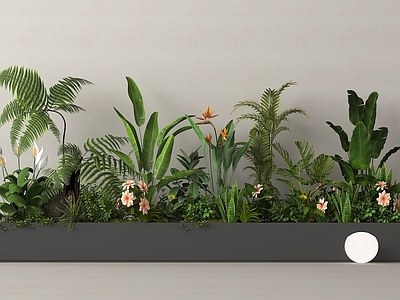现代植物组合 花箱 堆 造景
