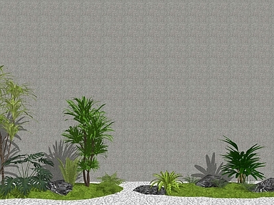 植物组合 微 组合 室内