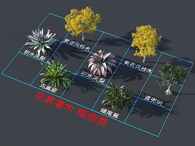 花草组合 花草灌木 植物