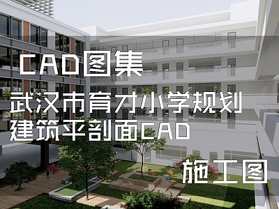 现代学校建筑 武汉市育才小学 平剖面 施工图