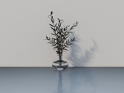 其他绿植 花瓶 玻璃 桉树叶