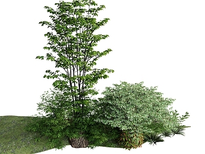 植物组合 组合 树木草丛草垛