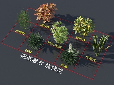 花草组合 花草灌木 植物类