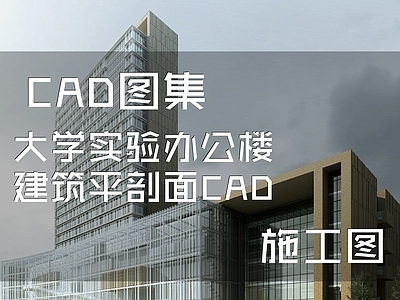 现代学校建筑 大学实验办公楼 建筑平剖面 施工图
