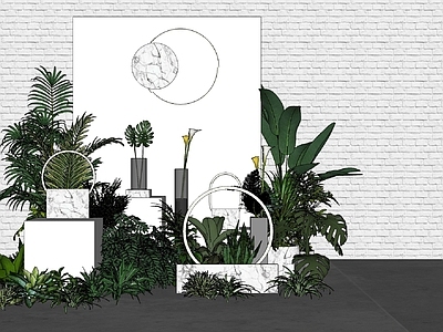 植物组合 绿植