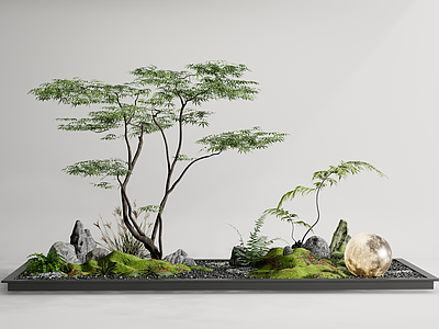 现代住宅景观 现代室内造景 小品 树 植物组合 微地形