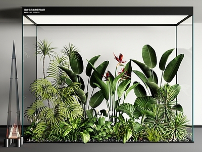 植物组合 室内造景 堆