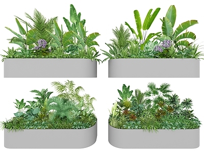 植物组合 花箱 移动花箱 组团 组合 庭院