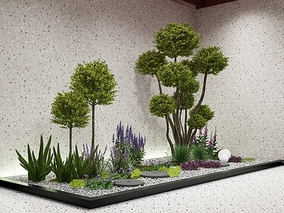现代新中式庭院小品 庭院小品 小叶女贞球树 薰衣草花草 狐尾草