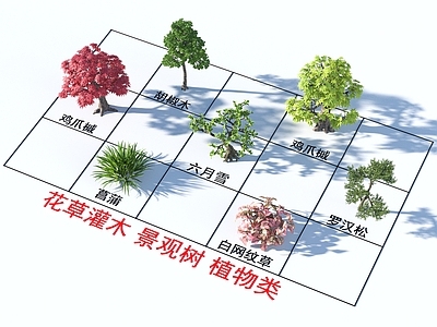 花草组合 花草灌木 景观