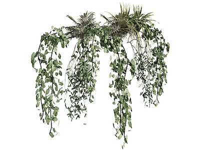 植物组合 植物绿植 吊篮