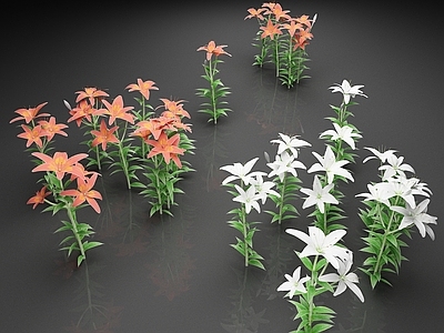 花草组合 花草 百合花 花朵 花卉 鲜花 植物