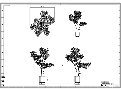 现代新中式树 绿植 盆栽 盆栽 施工图