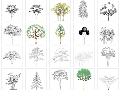 现代新中式树 常用木植物立面 乔木立面 绿植 竹子 施工图