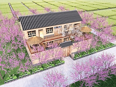 现代新中式乡村民房 稻田民房 乡村民宿 民居改造 农家乐 稻田