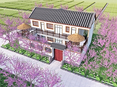 现代新中式乡村民房 稻田 乡村四合院 乡村餐饮 农家乐 乡村民宿