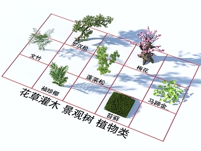 花草组合 花草灌木 树