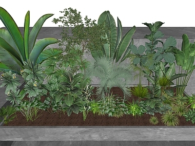 植物组合 树池