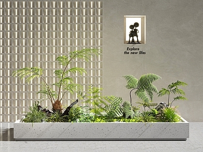 植物组合 植物堆 绿植组合 室内景观 花坛 景观绿植